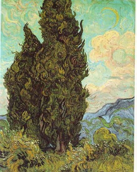 Vincent Van Gogh Cypresses oil painting image